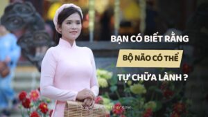 ban-co-biet-rang-bo-nao-co-the-tu-chua-lanh