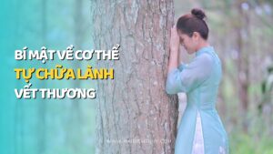 bi-mat-co-the-tu-chua-lanh-vet-thuong
