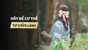 hay-de-co-the-tu-chua-lanh